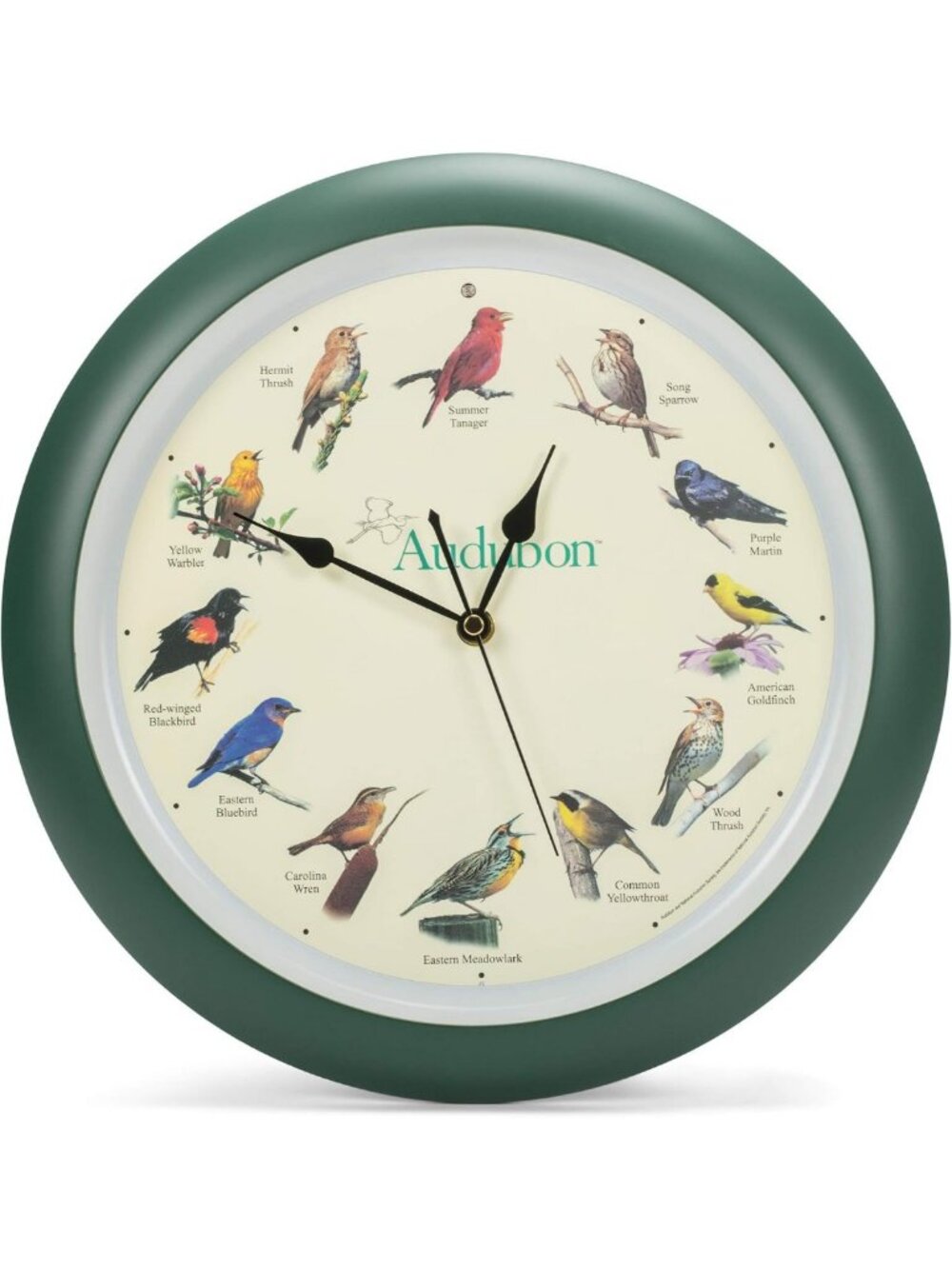 13-Inch Singing Bird Wall Clock with 12 Hourly Songs - Nature-Inspired Decor